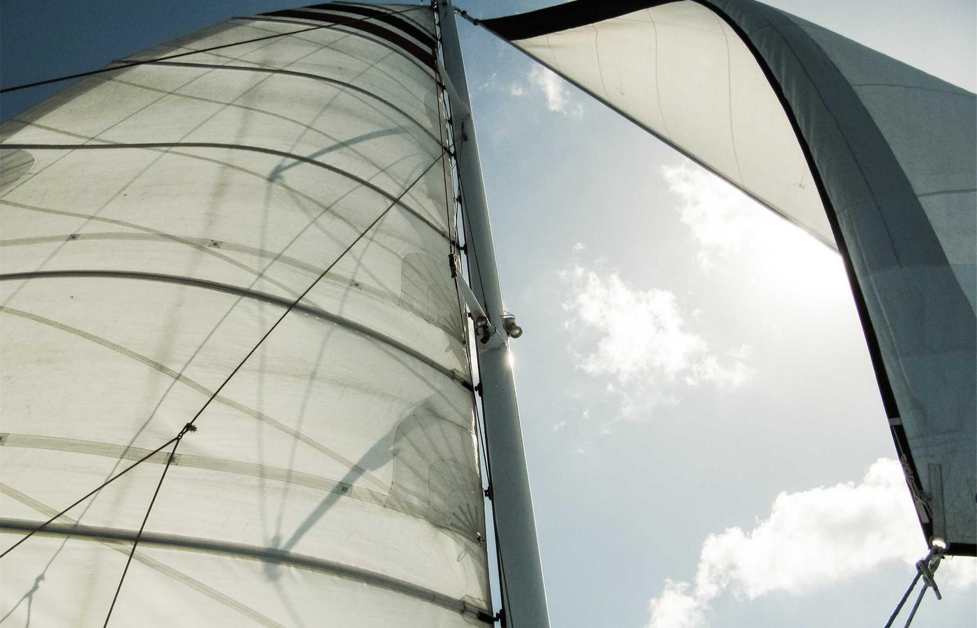 Portretul lui Radu Ionescu