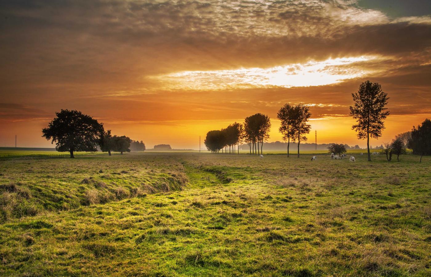 Portretul Elenei Vasile