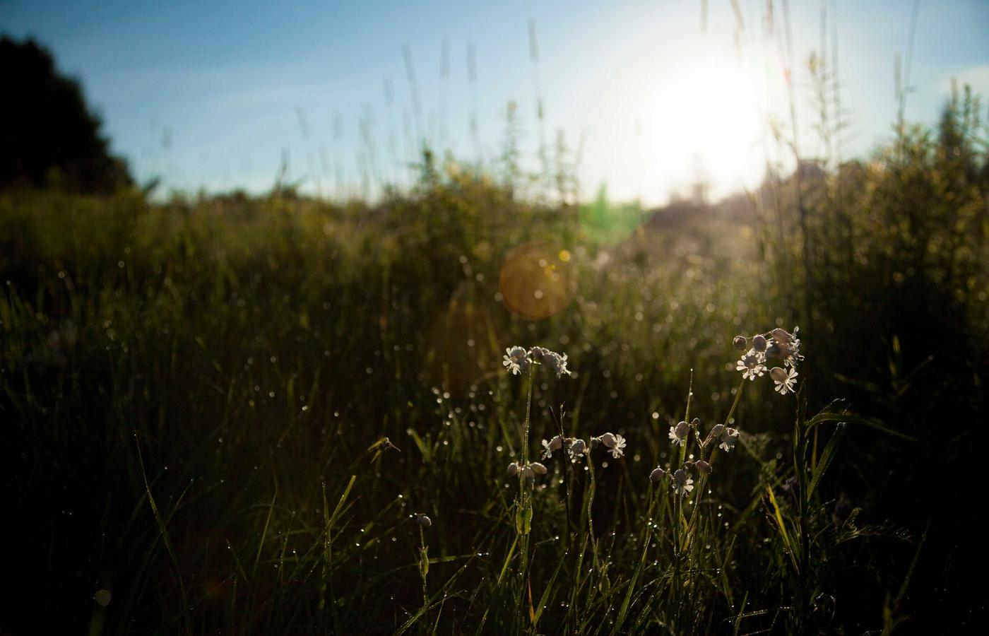Hartă veche și busolă